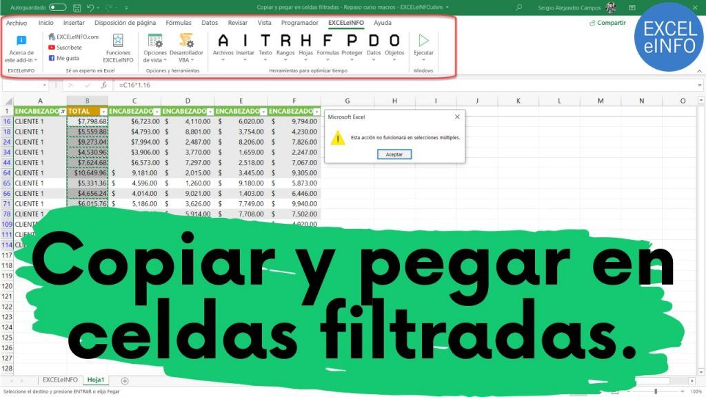 Copiar y pegar valores en rangos filtrados | VBA y EXCELeINFO add-in